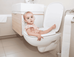 Best-toilet-seat-lock