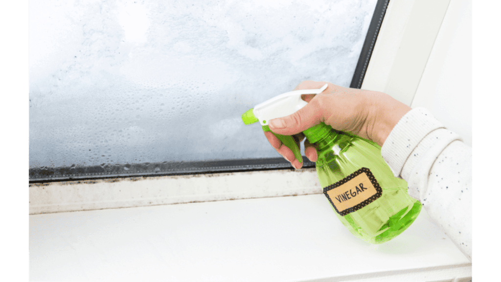Clean Bath Mats With Suction Cups using vinegar